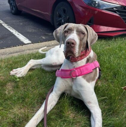 WINNIE- AVAILABLE
