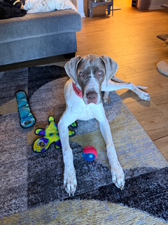 WINNIE- JUST ARRIVED