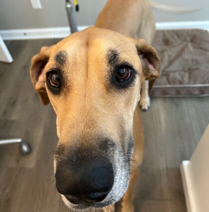 BRISTOL-JUST ARRIVED