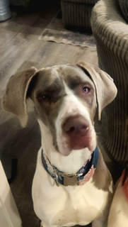 WINNIE- AVAILABLE